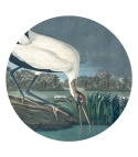 Wanddekoration - MURAL DOTS Stork