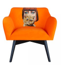 Armchair POP-ART Lady with a cat