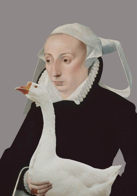Picture printed on canvas. A woman with a goose.