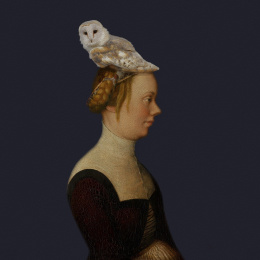 Picture printed on canvas. A woman with an owl.
