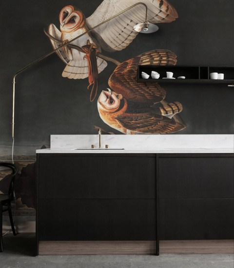 Wallpaper Owls by Wallcolors roll 100x200